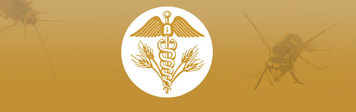 Logo Belter GmbH - Schädlingsbekämpfung